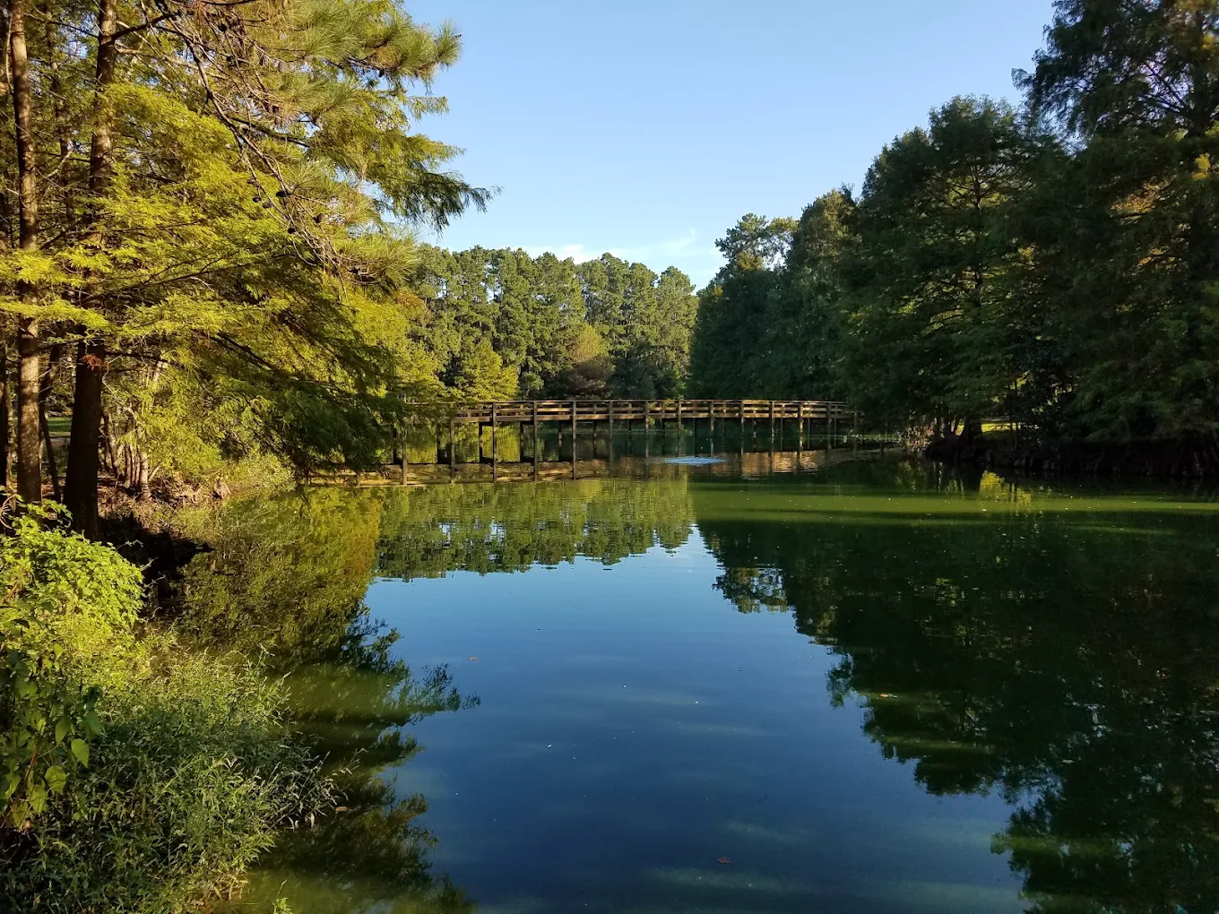 Espacio privado rodeado de naturaleza cerca de Houston